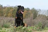 BEAUCERON 312